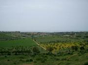 050  countryside near Agrigento.jpg